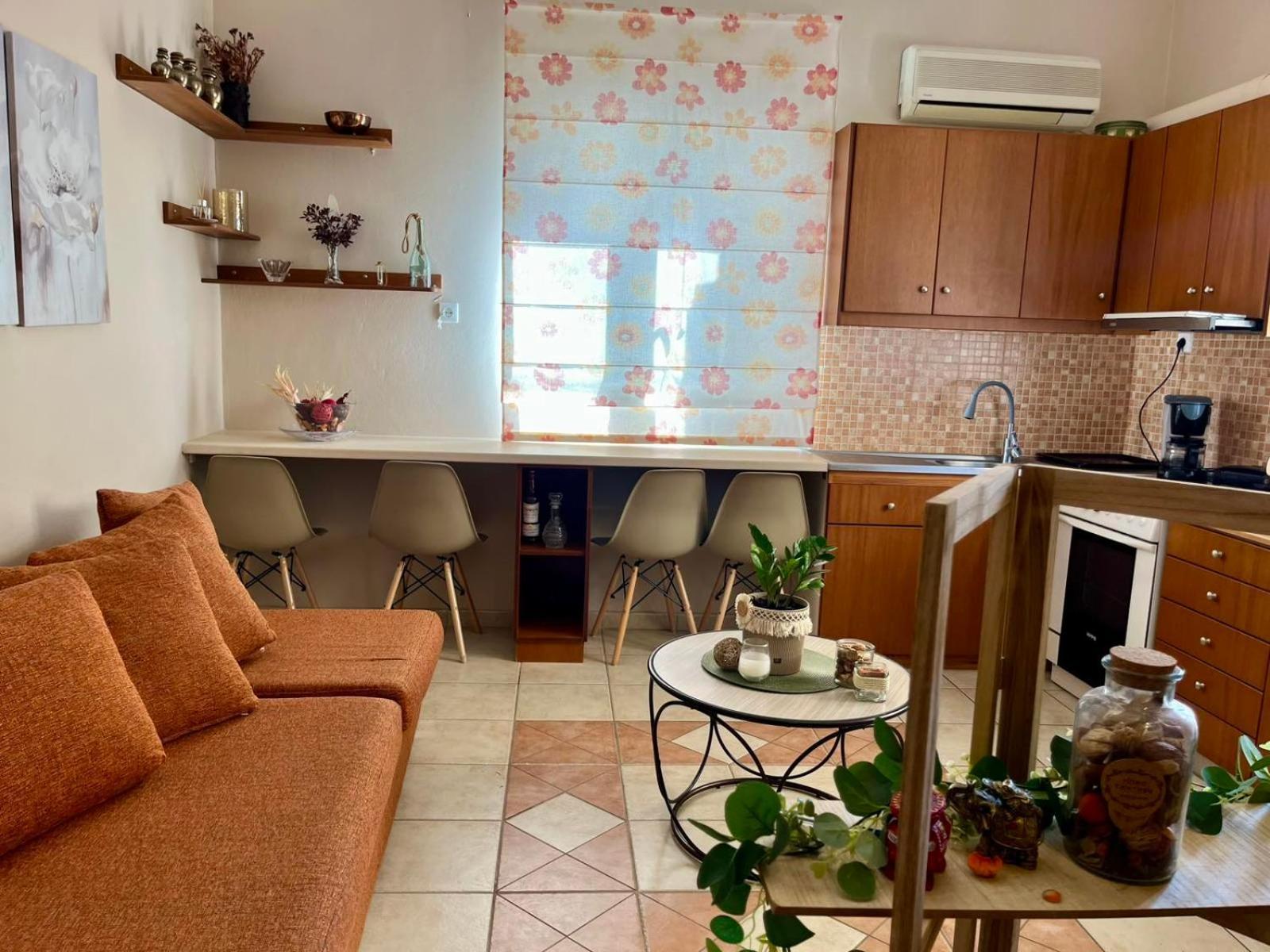 Evita Studios زيروبيغادو المظهر الخارجي الصورة